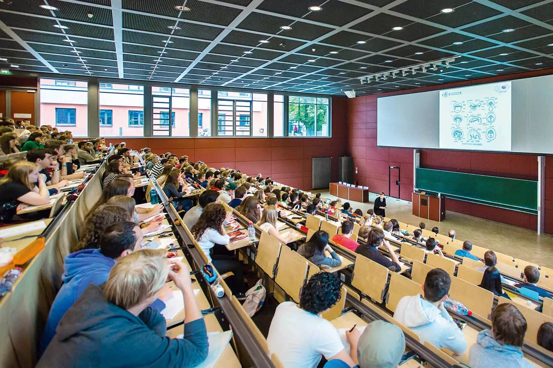 Ein Modellstudiengang als Vorreiter für ganz Deutschland 8 Vorlesung in der Uni